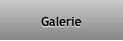 Galerie